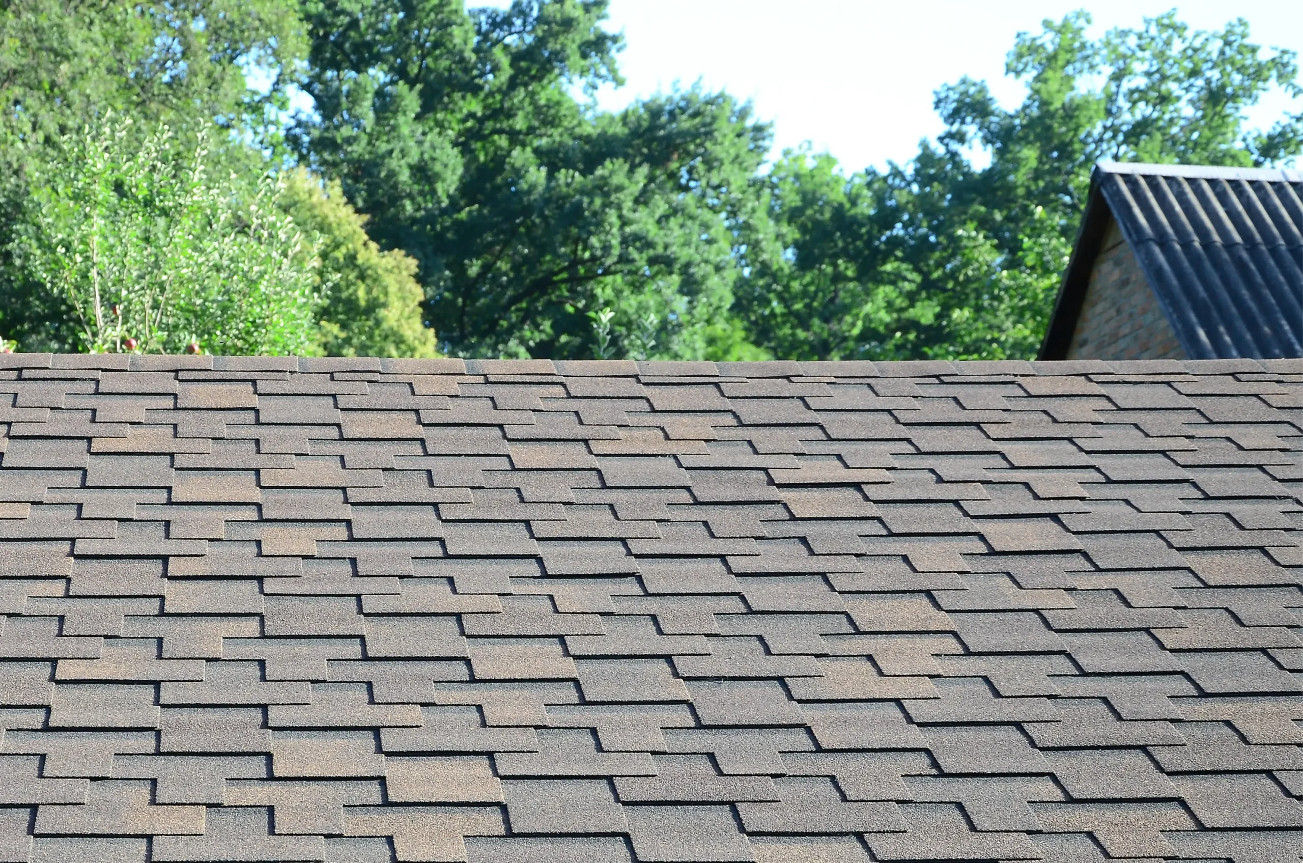 Metal Roof vs. Shingles in New Jersey: Which Is the Better Investment for Your Home?